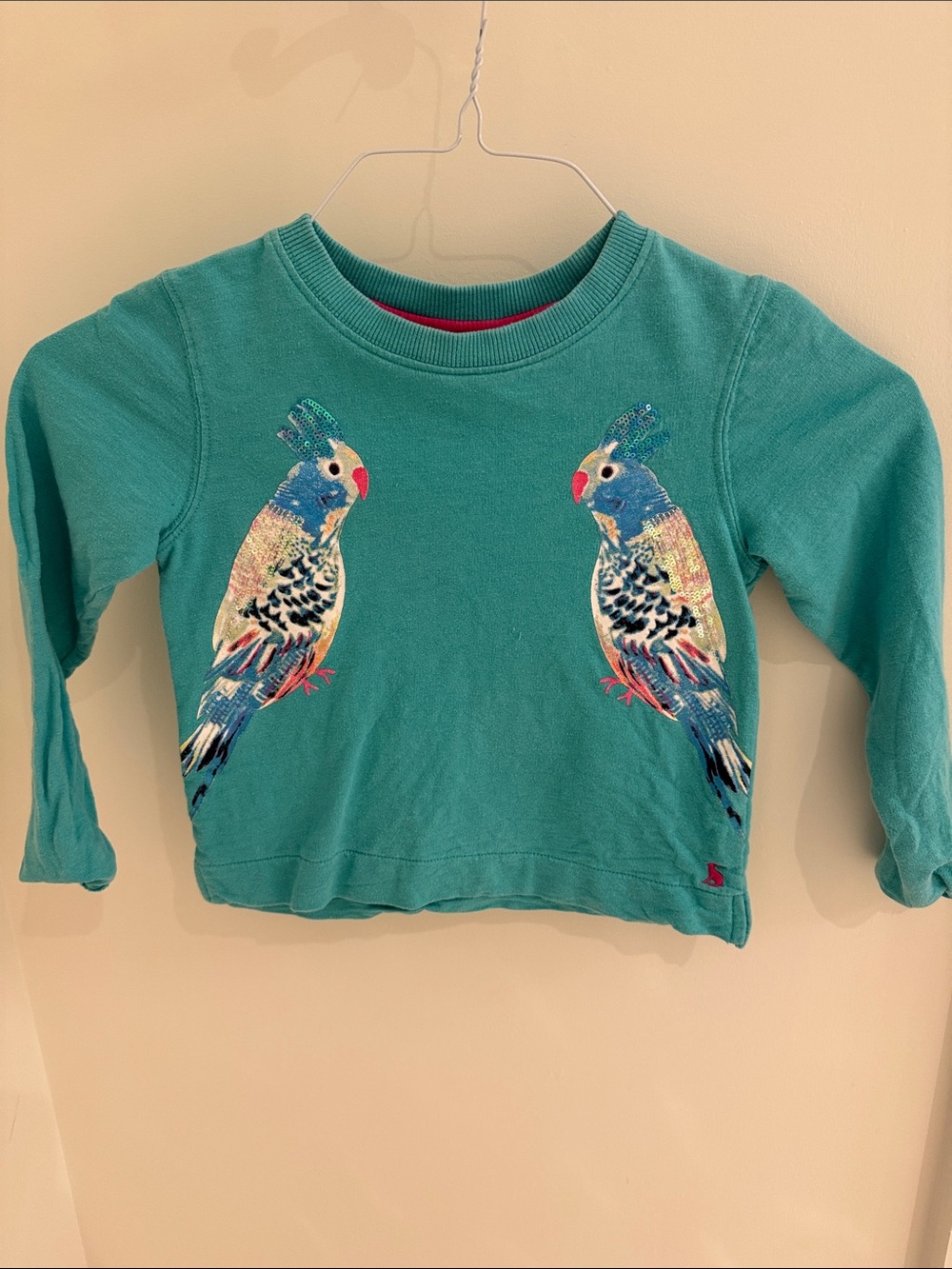 Kids Teal Parrot Graphic Sweatshirt - Joules